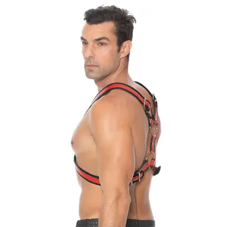 Scottish Bonded Leather Harness L/XL - Adjustable Stainless Steel Detail