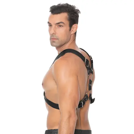 Scottish Bonded Leather Body Harness L/XL with Stainless Steel Elements