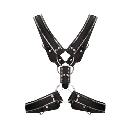 Z Series Scottish Leather Harness S/M with Stainless Steel Details