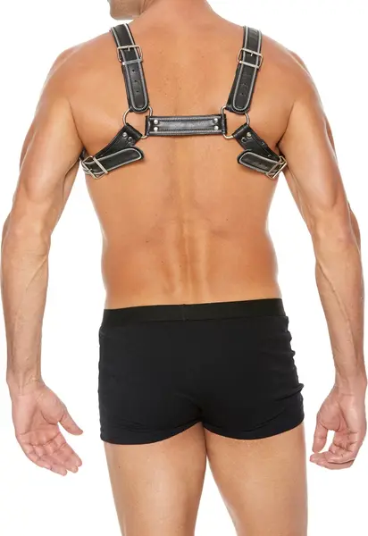 Z Series Leather Chest Bulldog Harness L/XL - Adjustable Straps & Steel Details