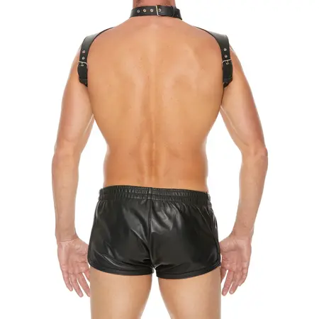 Kinksters Leather Adjustable Harness with Neck Collar, Black, Universal Size