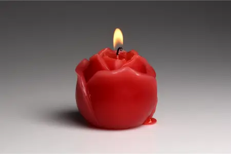 Flaming Rose kapajuća sveća crvena - niskotemperaturni parafinski model