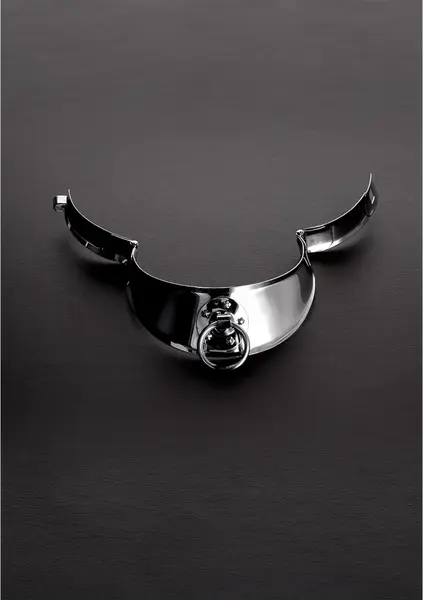 Kiotos Steel Men's Stainless Steel Collar with Clasp 34 cm
