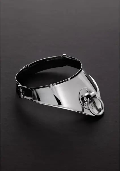 Master Series Cleopatra Steel Collar with Ring 38 cm - Polished Chrome Finish