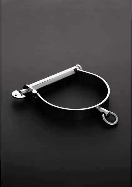 Kiotos Darby Series Stainless Steel Collar Large with O-Ring Attachment