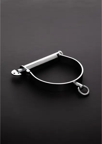 Kiotos Steel Darby Style Stainless Steel Collar Medium Size