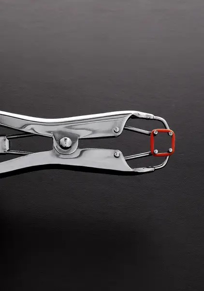 Mystim Precision Adjustable Pressure Pliers for Sensory Play, Silver