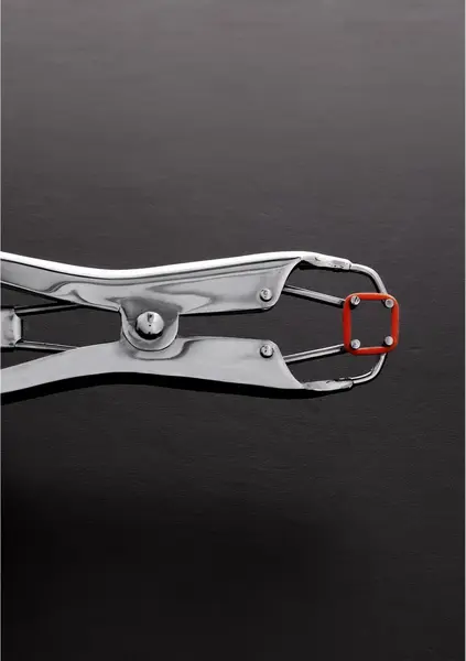 Mystim Precision Adjustable Pressure Pliers for Sensory Play, Silver