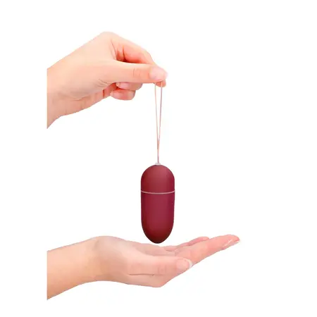 Sinner Gear Vibrating Egg L Red - 10-Speed Wireless Remote System