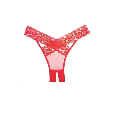 Dreamgirl Desire Panty Sheer Lace Crotchless One Size Crna
