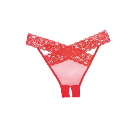 Dreamgirl Desire Panty Sheer Lace Crotchless One Size Crna