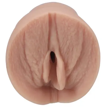Doc Johnson ULTRASKYN Pocket Sleeve Bridgette B Anatomical Model