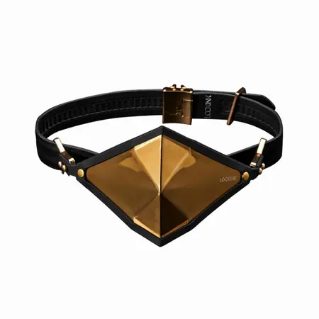 LOCKINK Golden Punker Adjustable Gag Set with Removable Silicone Ball