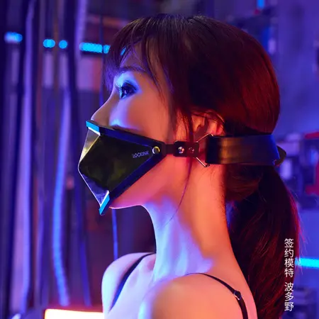 LOCKINK Golden Punker Adjustable Gag Set with Removable Silicone Ball
