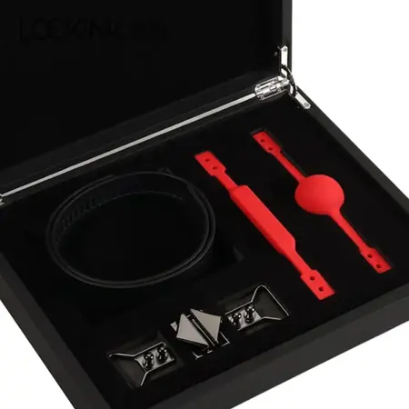 LOCKINK Adjustable Restraint Set with Ball Gag & Bite Gag, Black