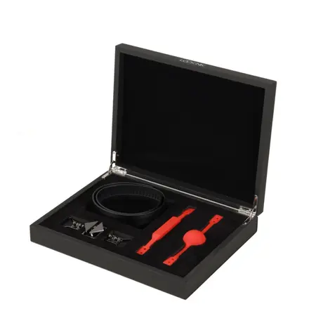 LOCKINK Adjustable Restraint Set with Ball Gag & Bite Gag, Black