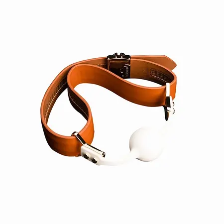LOCKINK Ball-Gag & Gag-Bite Set Brown Adjustable Strap Storage Box
