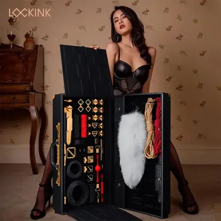 LOCKINK All-in-1 Black Restraint Set with Storage Case