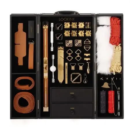 LOCKINK All-in-1 Brown Restraint Set with Storage Case, Multi-Piece Kit