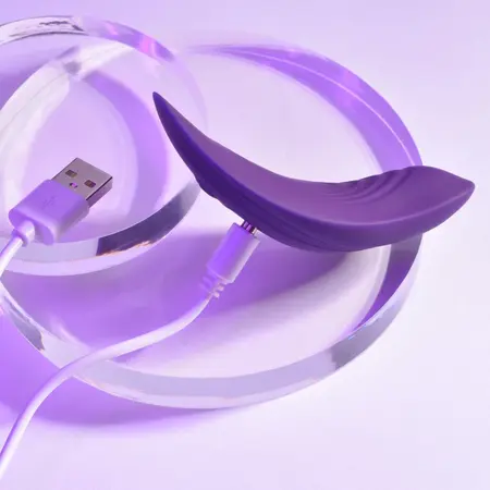 Playboy Pleasure Our Little Secret Acai Wireless Intimate System
