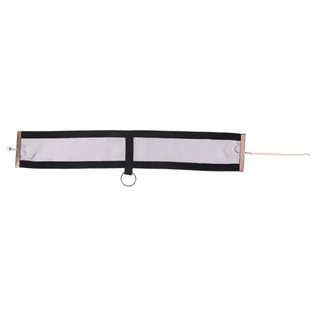 Sportsheets Sex & Mischief Sheer Day Collar Black-Gold Adjustable Velvet
