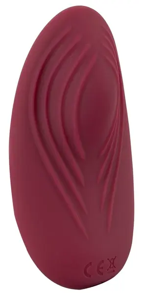 You2Toys Panty Vibe RC Rechargeable Intimate Massager, 8.8 cm, Black
