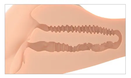 PDX Plus 360° Banger Light Anatomski Torzo, Fanta Flesh, 4.9 kg