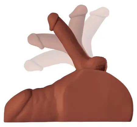 PDX Plus Perfect Ride Brown Intimate Torso Model, Flexible Design, 4.7 kg