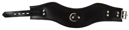 Bad Kitty Black Adjustable Collar with Metal D-Ring, Leather Look