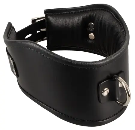 Bad Kitty Black Adjustable Collar with Metal D-Ring, Leather Look
