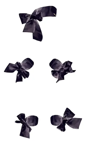 Bad Kitty Satin Ribbon Set 5 pcs Black Elegant Restraint System