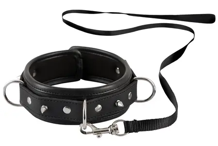 ZADO Adjustable PU Collar with Decorative Spikes & Detachable Leash 112cm