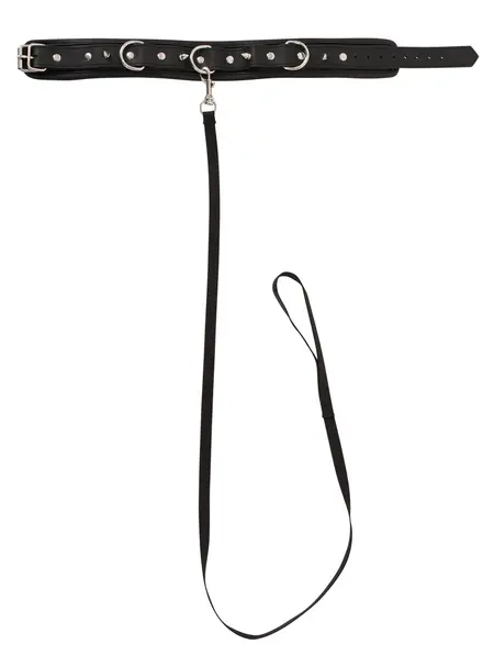 ZADO Adjustable PU Collar with Decorative Spikes & Detachable Leash 112cm