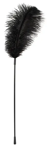 Bad Kitty Crni Perjani Štapić 38cm - Elegantan Dodatak