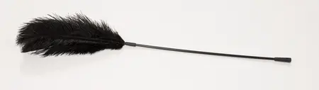 Bad Kitty Crni Perjani Štapić 38cm - Elegantan Dodatak