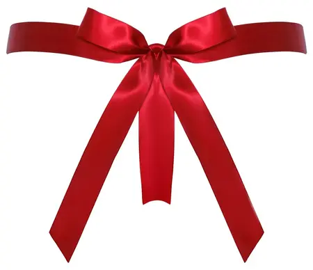 Cottelli LINGERIE Red Lace Thong with Satin Side Bow, Adjustable Fit
