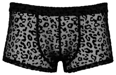 Noir Handmade Powernet Pants XL Leopard Print Transparent
