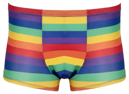 Svenjoyment Boxer Briefs Rainbow Stripes Comfort Fit M