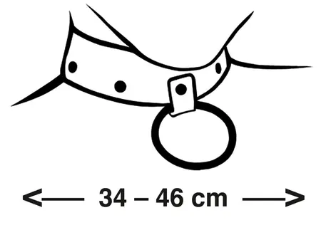 ZADO Leather Adjustable Collar & Leash Set with Metal Studs Black 34-46cm