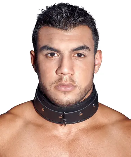 ZADO Leather Collar L/XL - Adjustable Black Split Leather, 42-62 cm