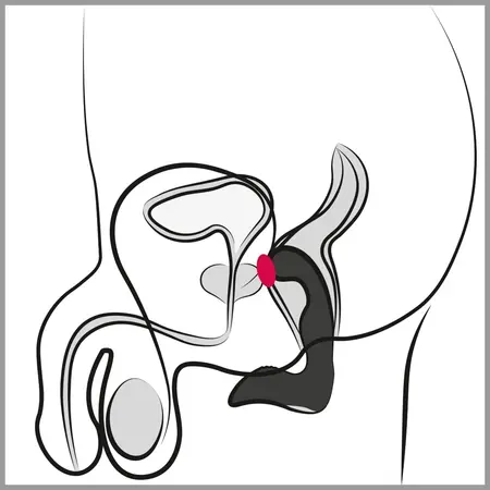 Rebel Prostate Plug Punjivi Fleksibilni Maser Crni 14.6 cm