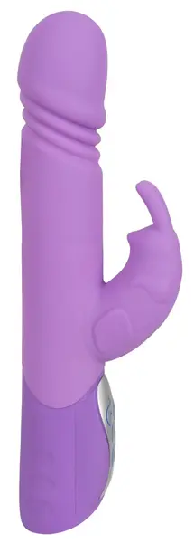Sweet Smile Push Vibrator Purple Rabbit Model, 10 Modes, 25 cm