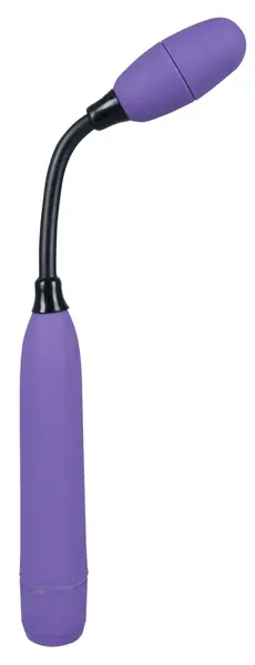 Mr. Flex Butler Flexible Intimate Massager Purple 28.5 cm ABS