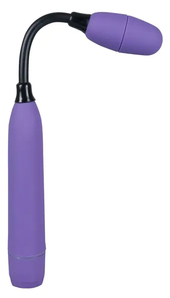 Mr. Flex Butler Flexible Intimate Massager Purple 28.5 cm ABS