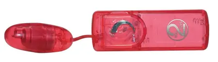 You2Toys Red Roses 9-delni set - multifunkcionalni intimni komplet