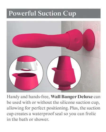 Pipedream Wall Banger Deluxe Multi-Mode Intimate Device Black 19cm
