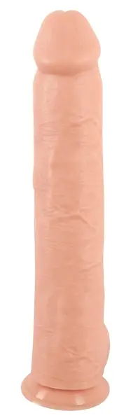Realistixxx Giant 3XL Anatomical Model PVC 42 cm with Suction Base