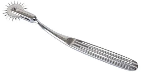 fetish collection Pin Wheel Chrome-Plated Brass 17cm Precision Tool