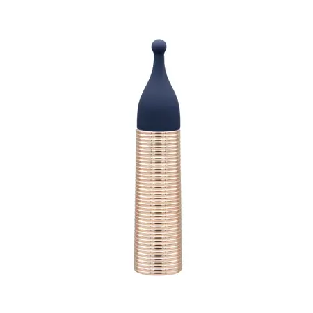 Pillow Talk Desires Navy Blue Bullet Set with 5 Silicone Attachments