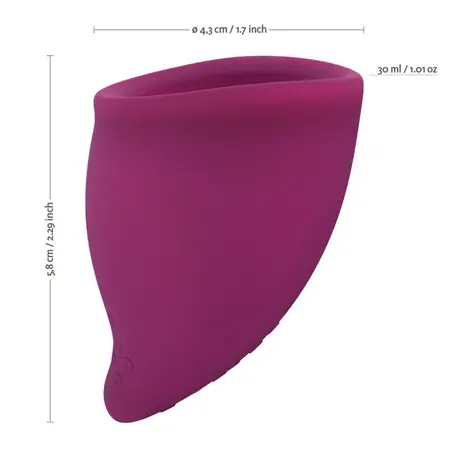 Fun Factory Fun Cup Size B Grape - Large Reusable Menstrual Cup Set